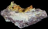 Orange Hexagonal Mimetite Crystal Cluster - Rowley Mine, AZ #49376-2